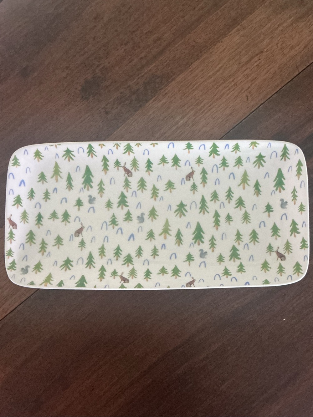 Zoe Ingram for Creative Co-Op Woodland Critters Squirrel & Hare Ceramic Tray